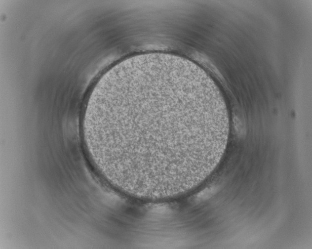 X0000071360534200607212125