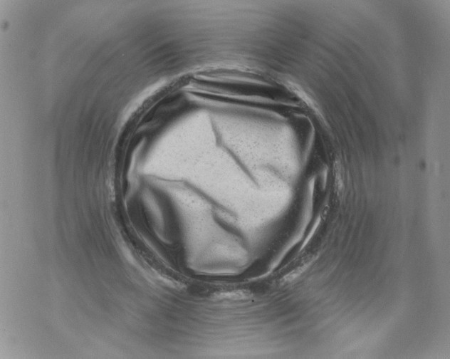 X0000071360536200607212125