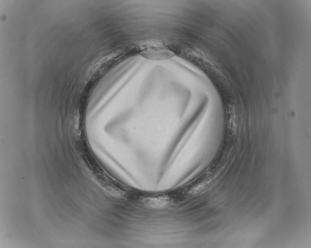 X0000071360548200607212125