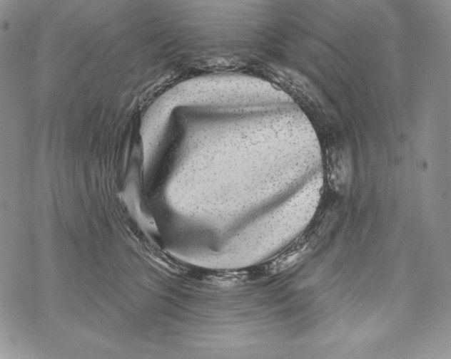 X0000071360563200607212125