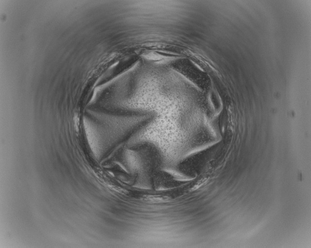 X0000071360597200607212124
