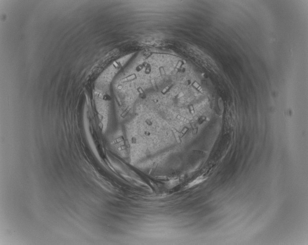 X0000071360601200607212124