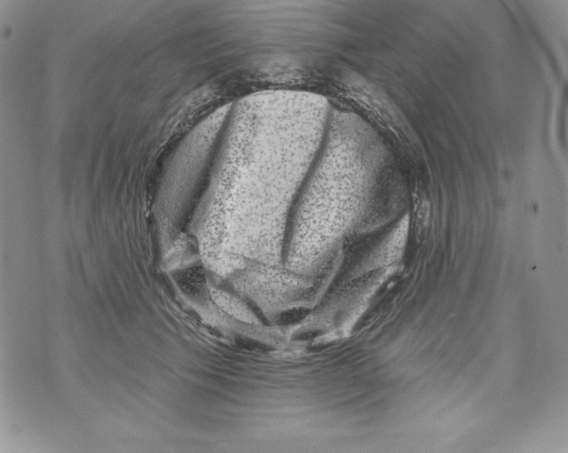 X0000071360609200607212124