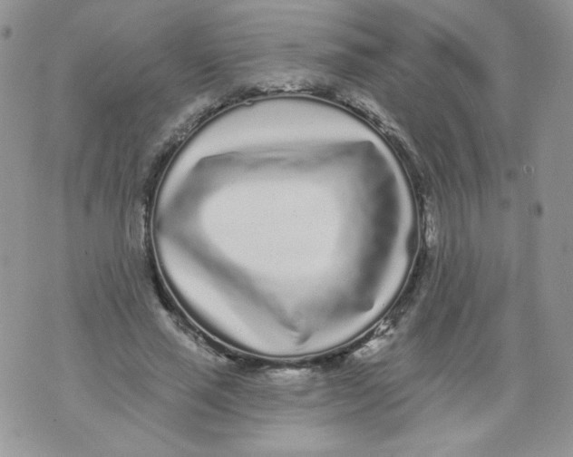 X0000071360637200607212123