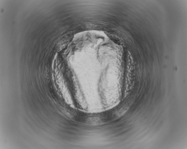 X0000071360653200607212124