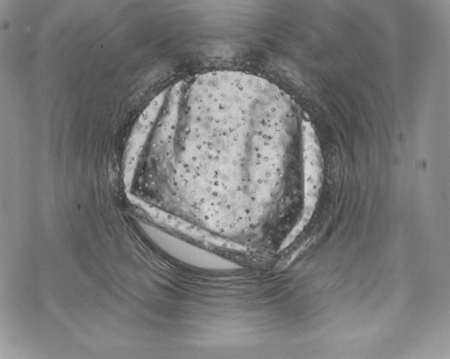 X0000071360661200607212124