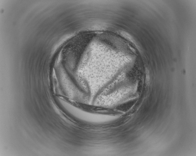 X0000071360677200607212123