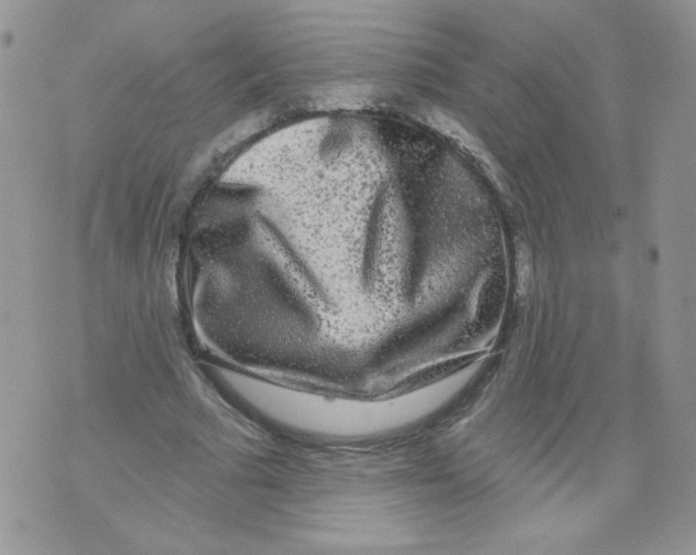 X0000071360681200607212123