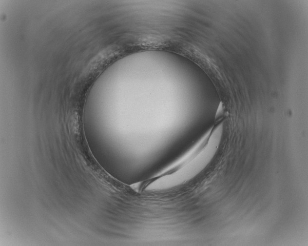 X0000071360689200607212123