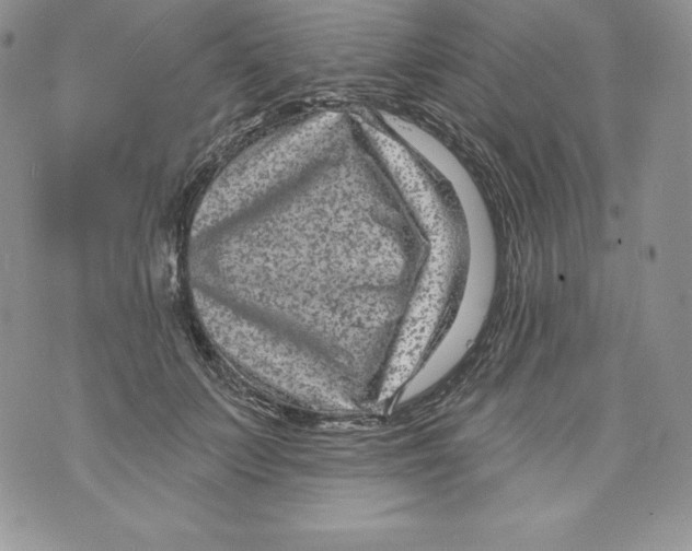 X0000071360703200607212123