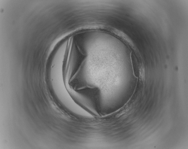 X0000071360724200607212122