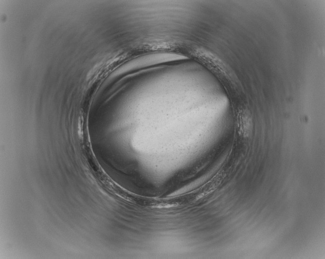 X0000071360740200607212122