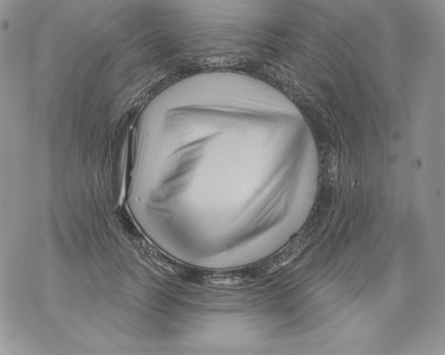 X0000071360746200607212122