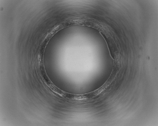X0000071360752200607212122