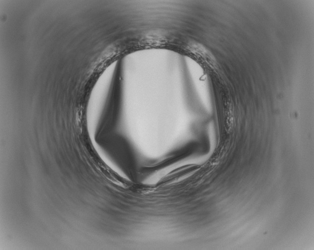 X0000071360759200607212122