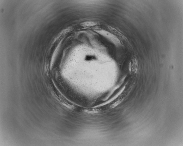 X0000071360763200607212122