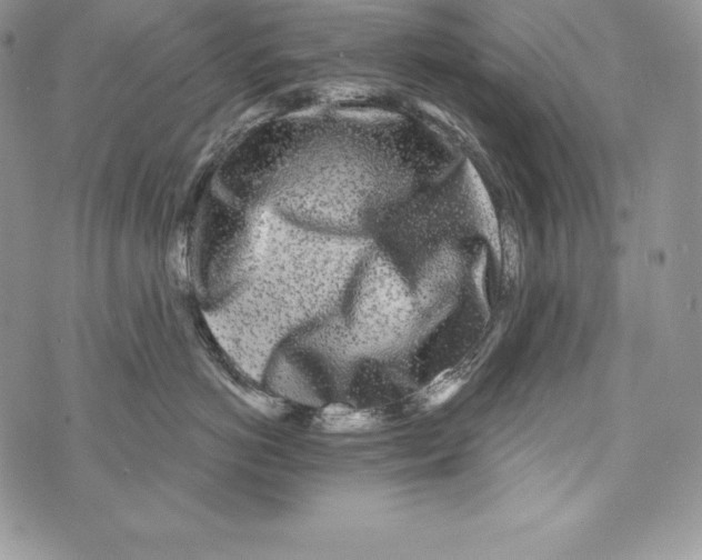X0000071360766200607212122