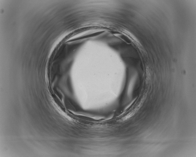 X0000071360788200607212121