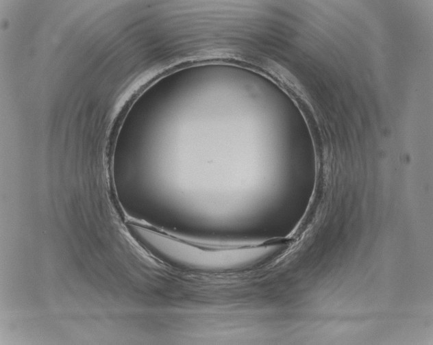X0000071360789200607212121