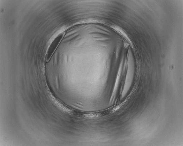 X0000071360805200607212121