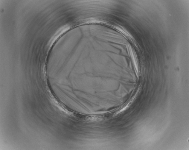 X0000071360806200607212121
