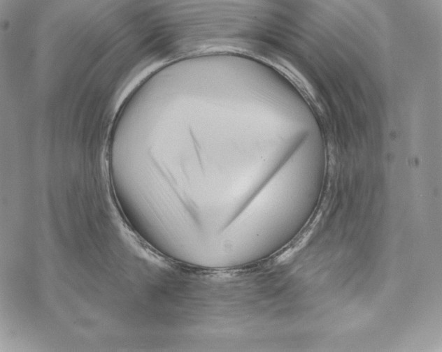 X0000071360814200607212121