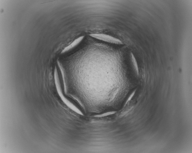X0000071360818200607212120