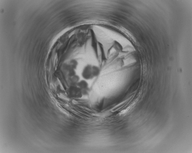 X0000071360854200607212121