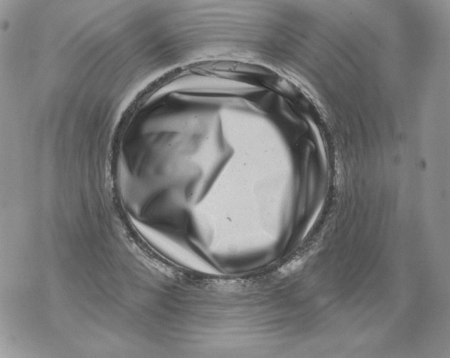 X0000071360880200607212120