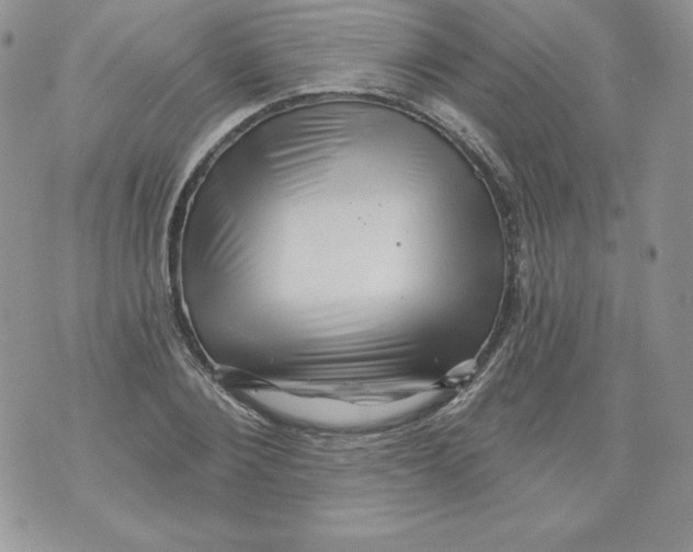 X0000071360884200607212120