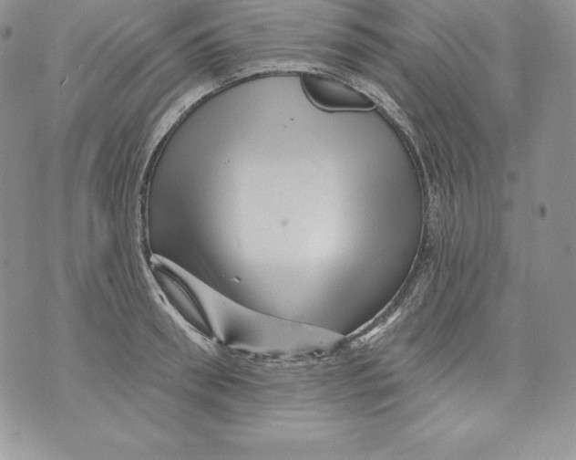 X0000071360898200607212120