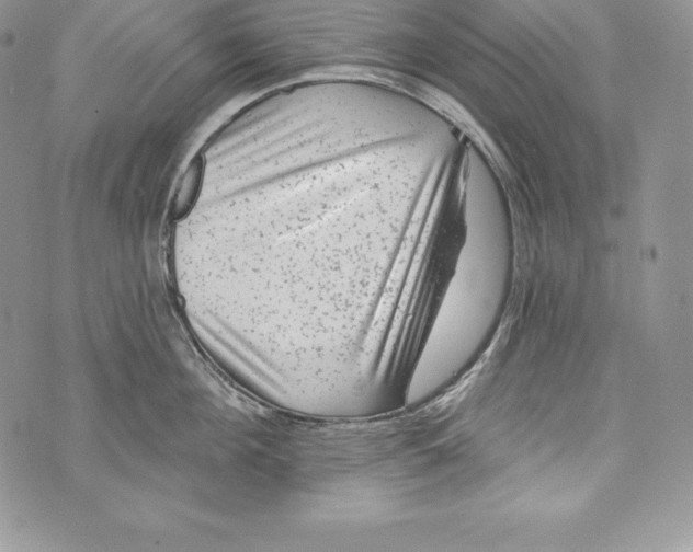 X0000071360908200607212119