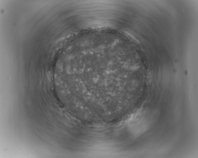X0000071360917200607212119