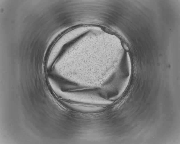 X0000071360932200607212119