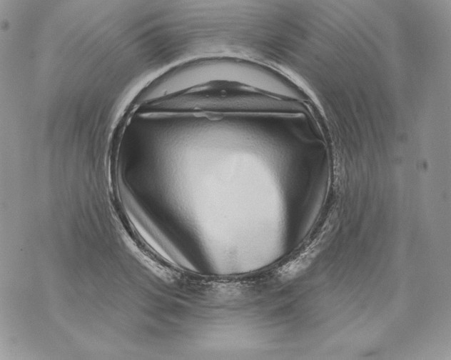 X0000071360935200607212119