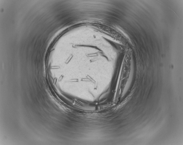 X0000071360940200607212119