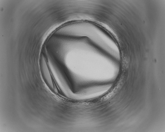 X0000071360943200607212119