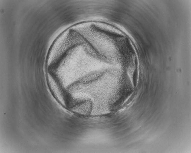X0000071360959200607212119
