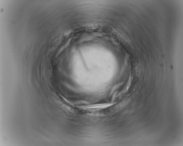 X0000071360961200607212119