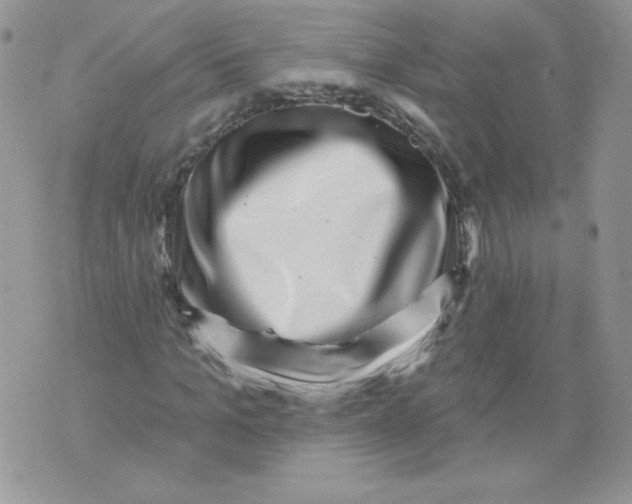 X0000071360965200607212118
