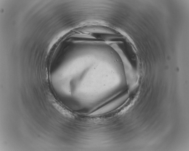 X0000071360973200607212118