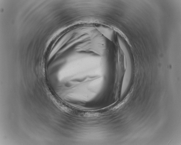 X0000071360981200607212118