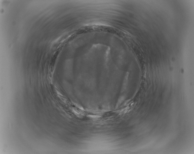 X0000071361014200607212117