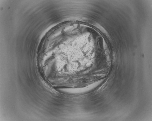 X0000071361020200607212117
