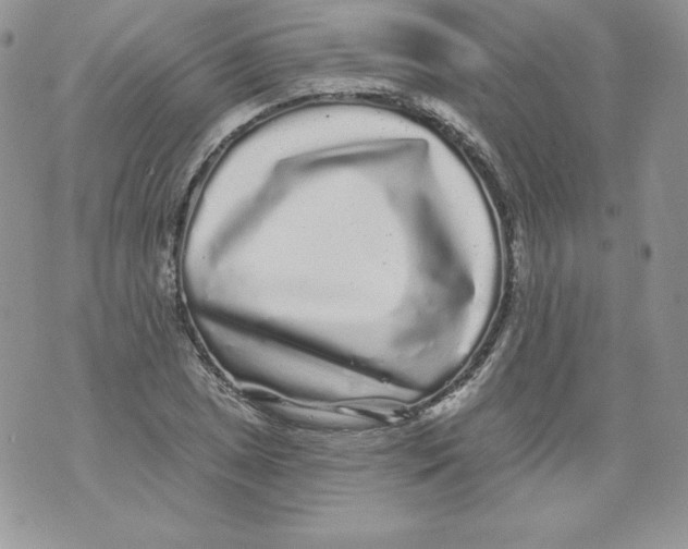 X0000071361025200607212117