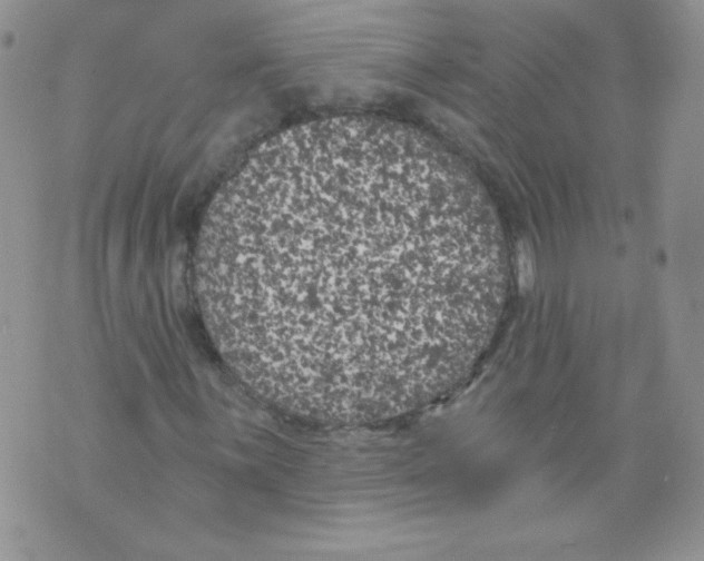 X0000071361059200607212117