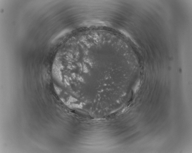 X0000071361063200607212117