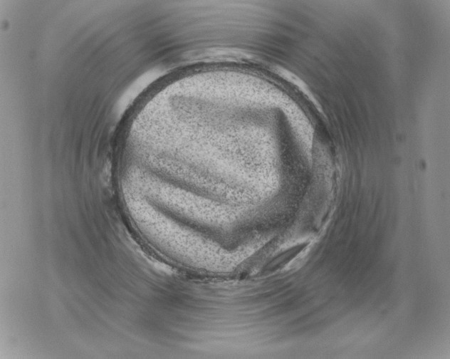 X0000071361066200607212117