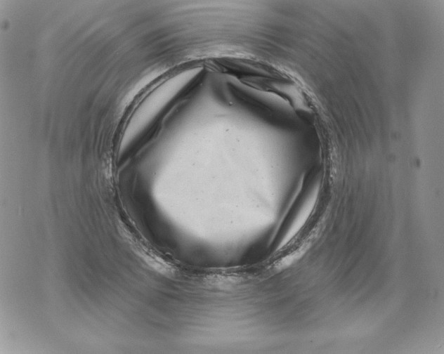X0000071361073200607212117