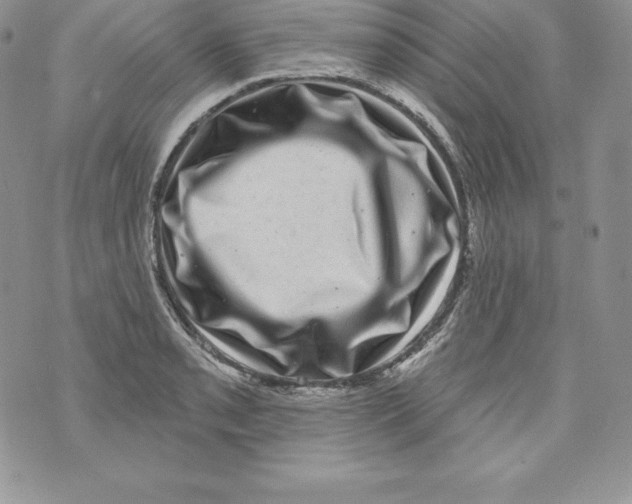 X0000071361085200607212117